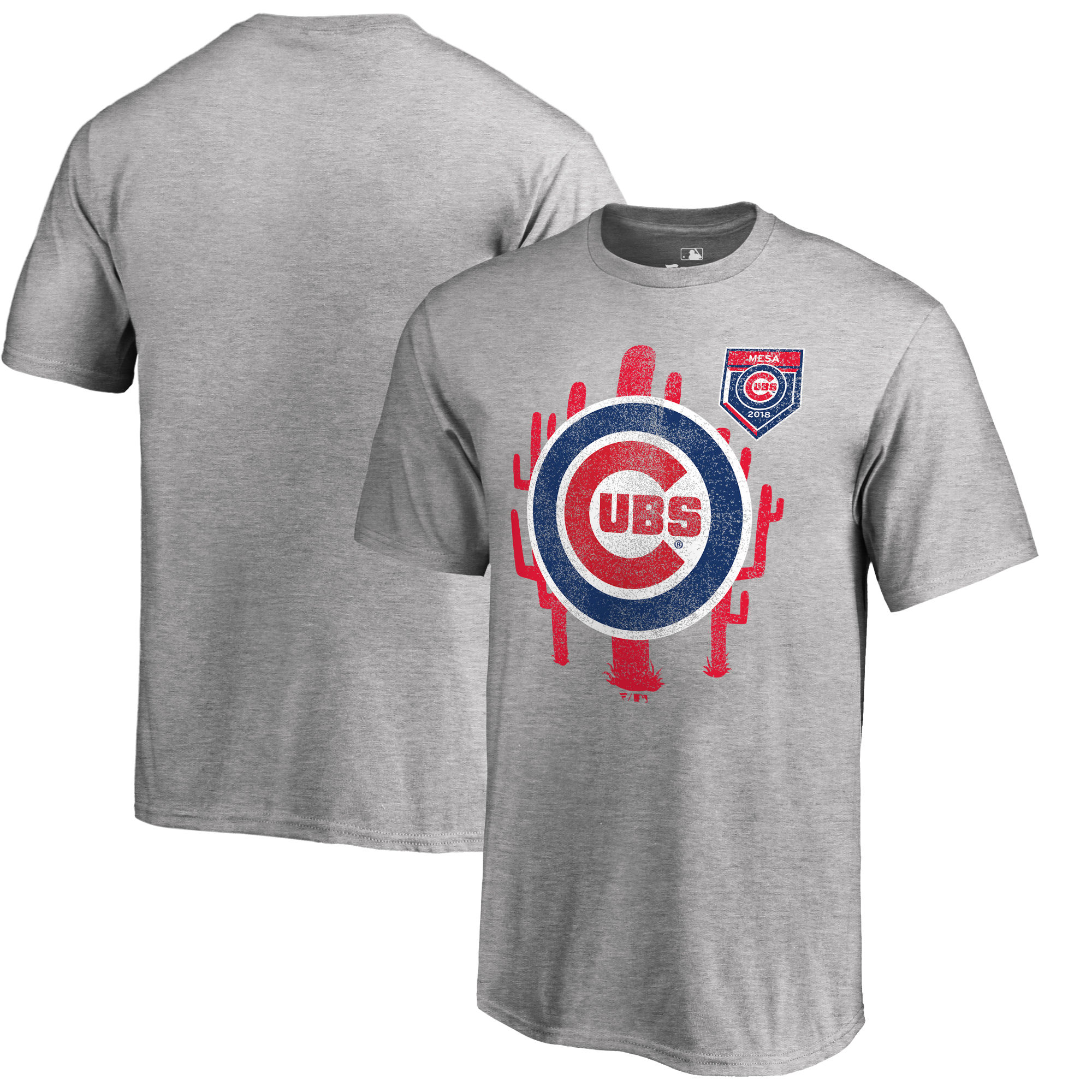 Men's Chicago Cubs Fanatics Branded 2018 MLB Spring Training Vintage T-Shirt ?C Heather Gray